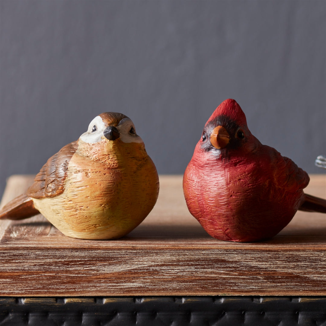 Birds