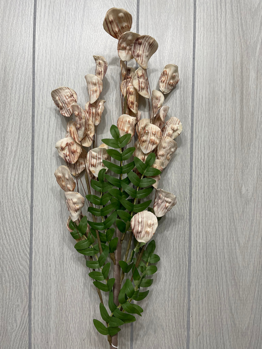 Natural Pod & Fern Spray
