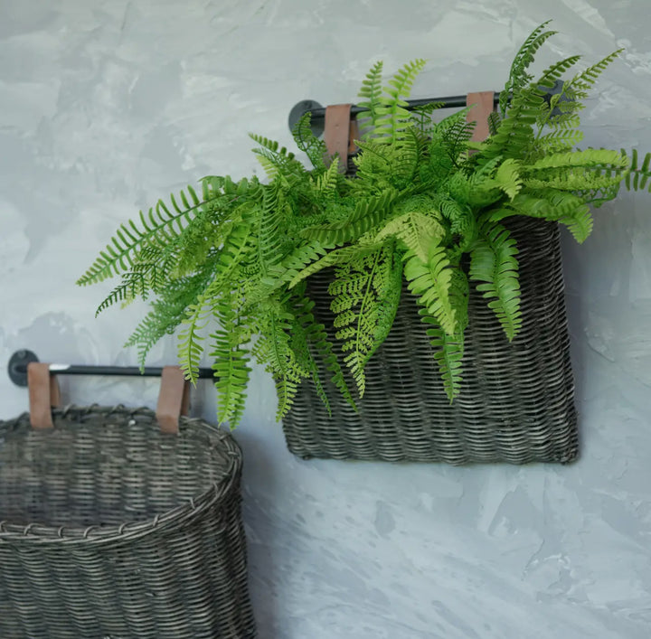 12” Sword Fern