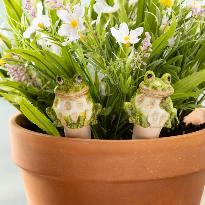 Frog Watering Globe Collection