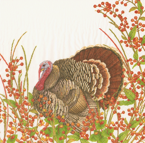 Caspari Autumn Turkey Lunch Napkins
