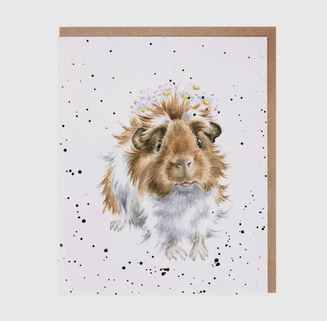 Greeting Cards - 5x7