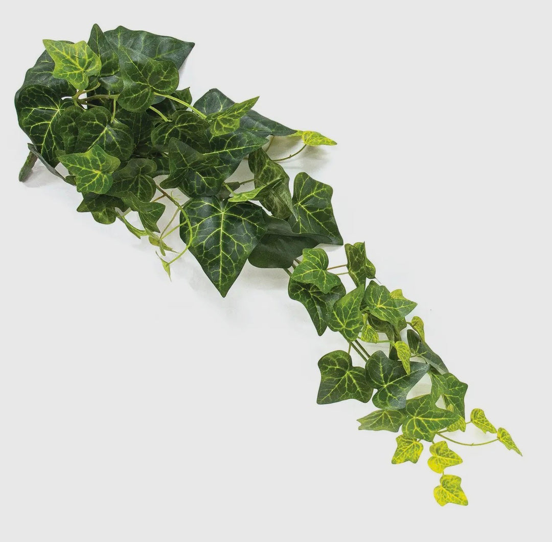 Verdant Manor 26” Ivy Spray