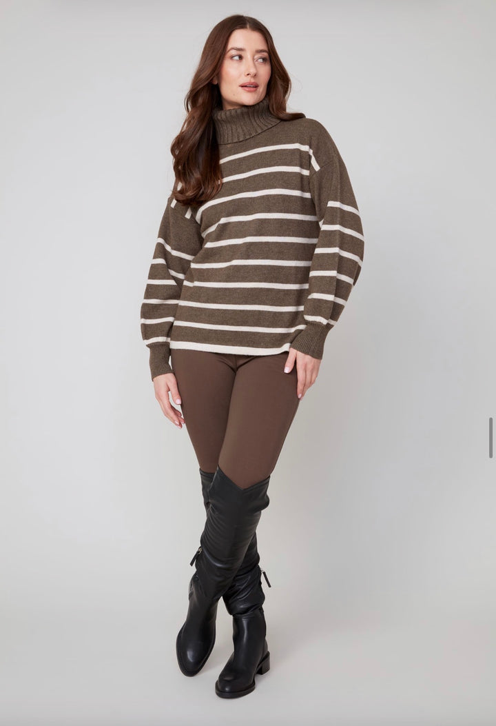 Autumn Stripe Turtleneck Sweater
