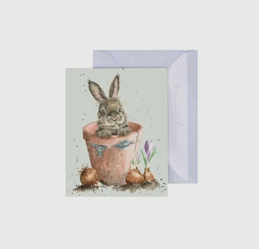 Mini Gift Enclosure Cards