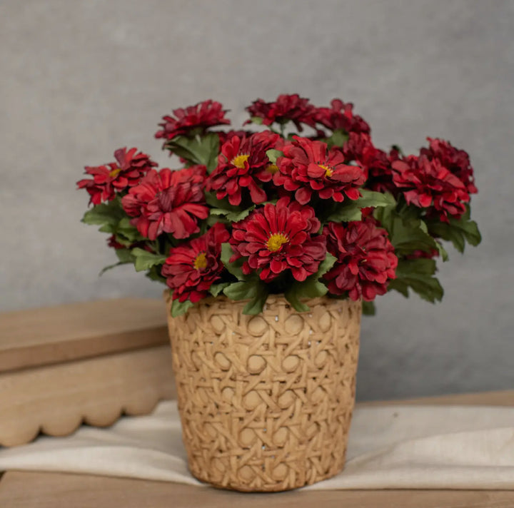 10.5” Zinnia Pick