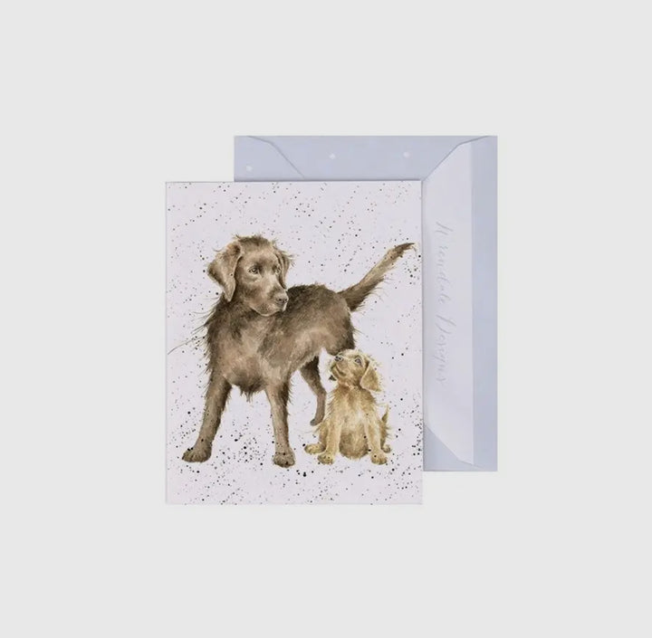 Mini Gift Enclosure Cards