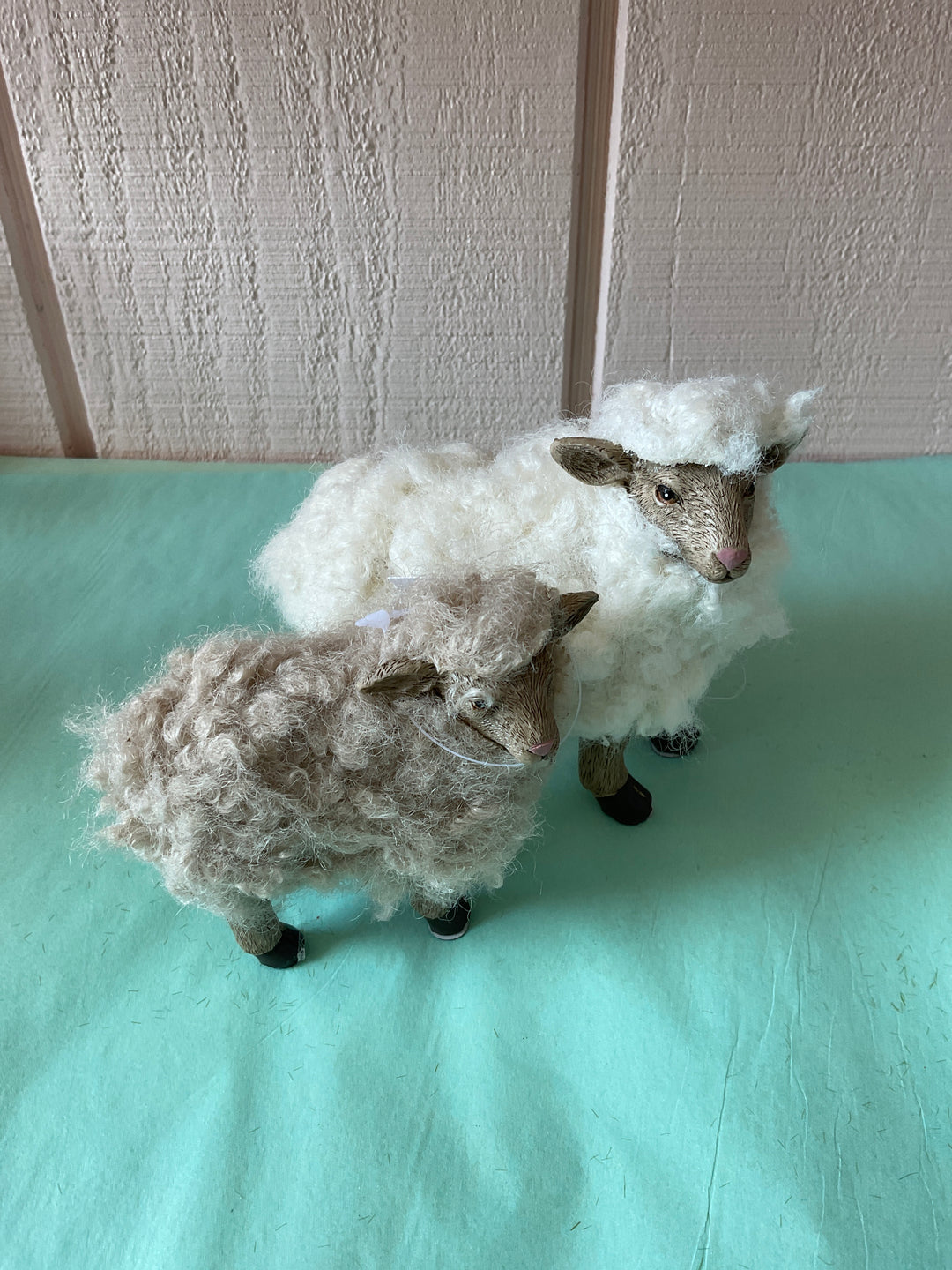 Sheep