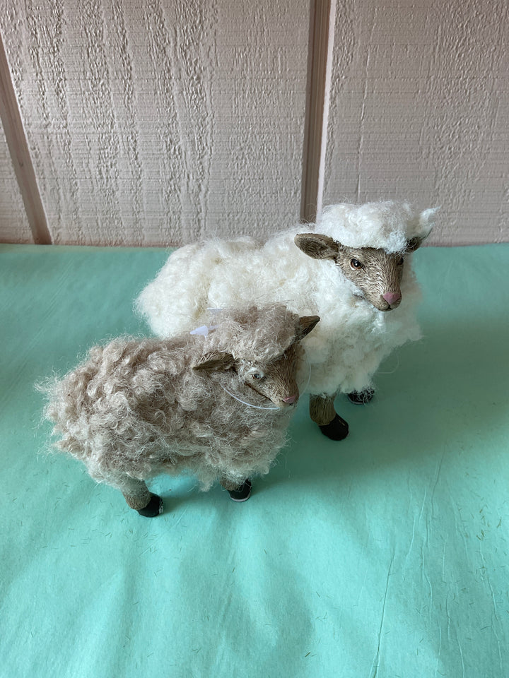 Sheep