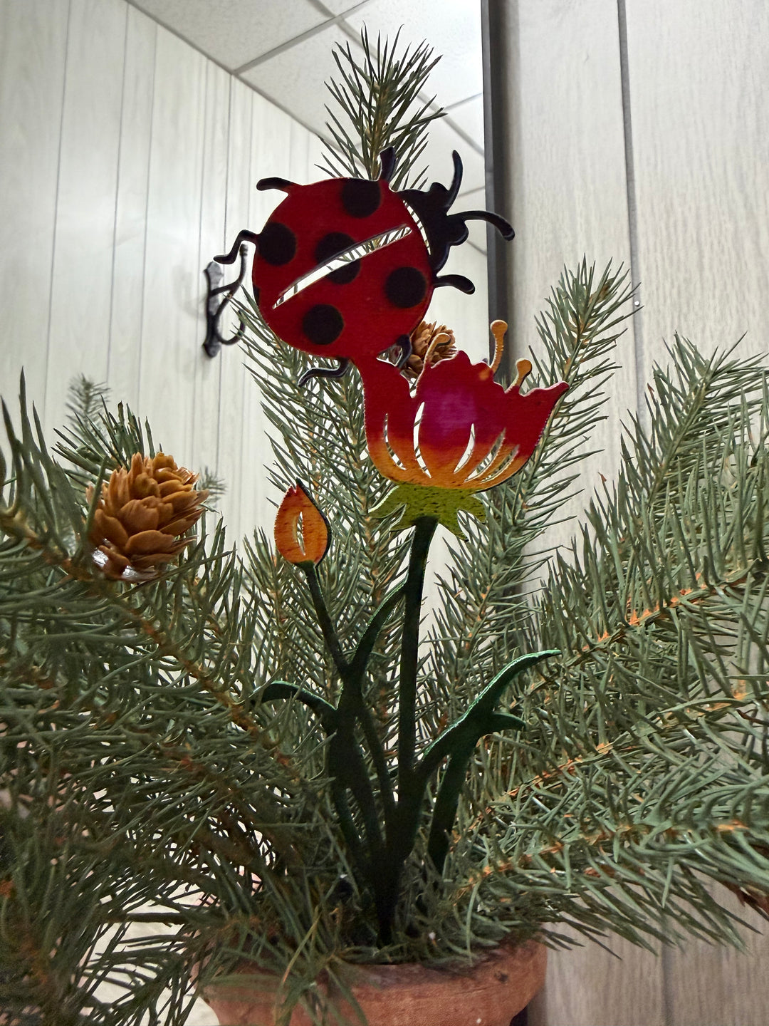 Meadow Friends Garden Plant Picks