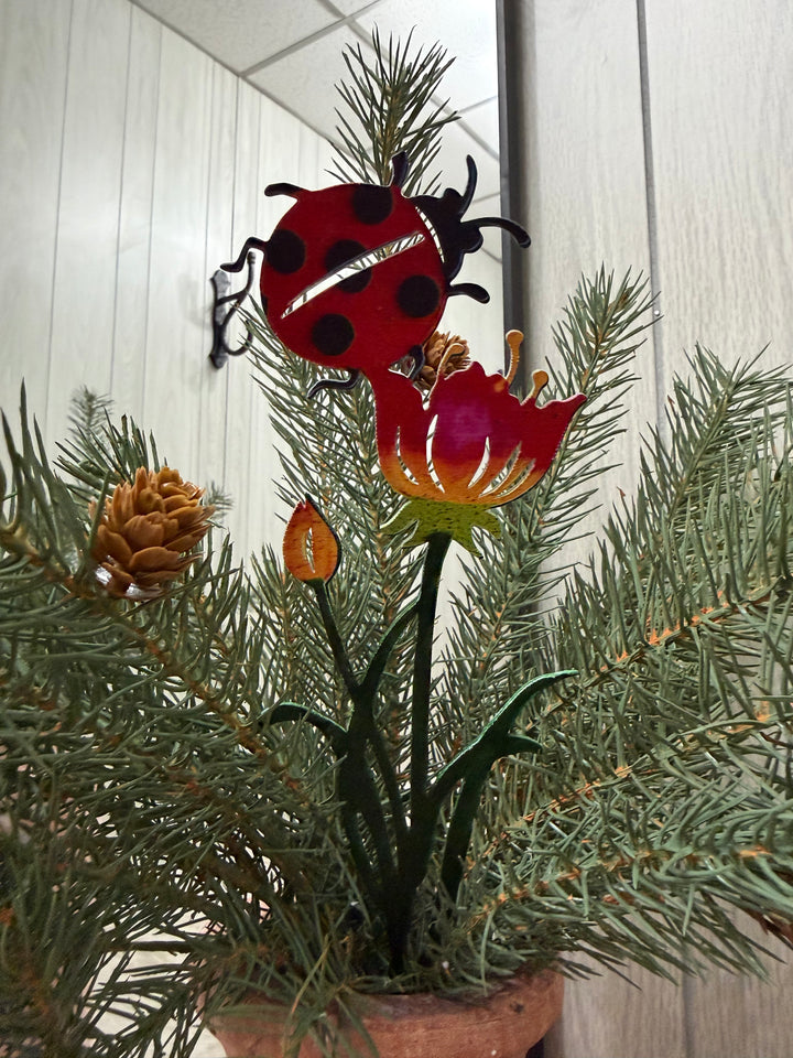 Meadow Friends Garden Plant Picks