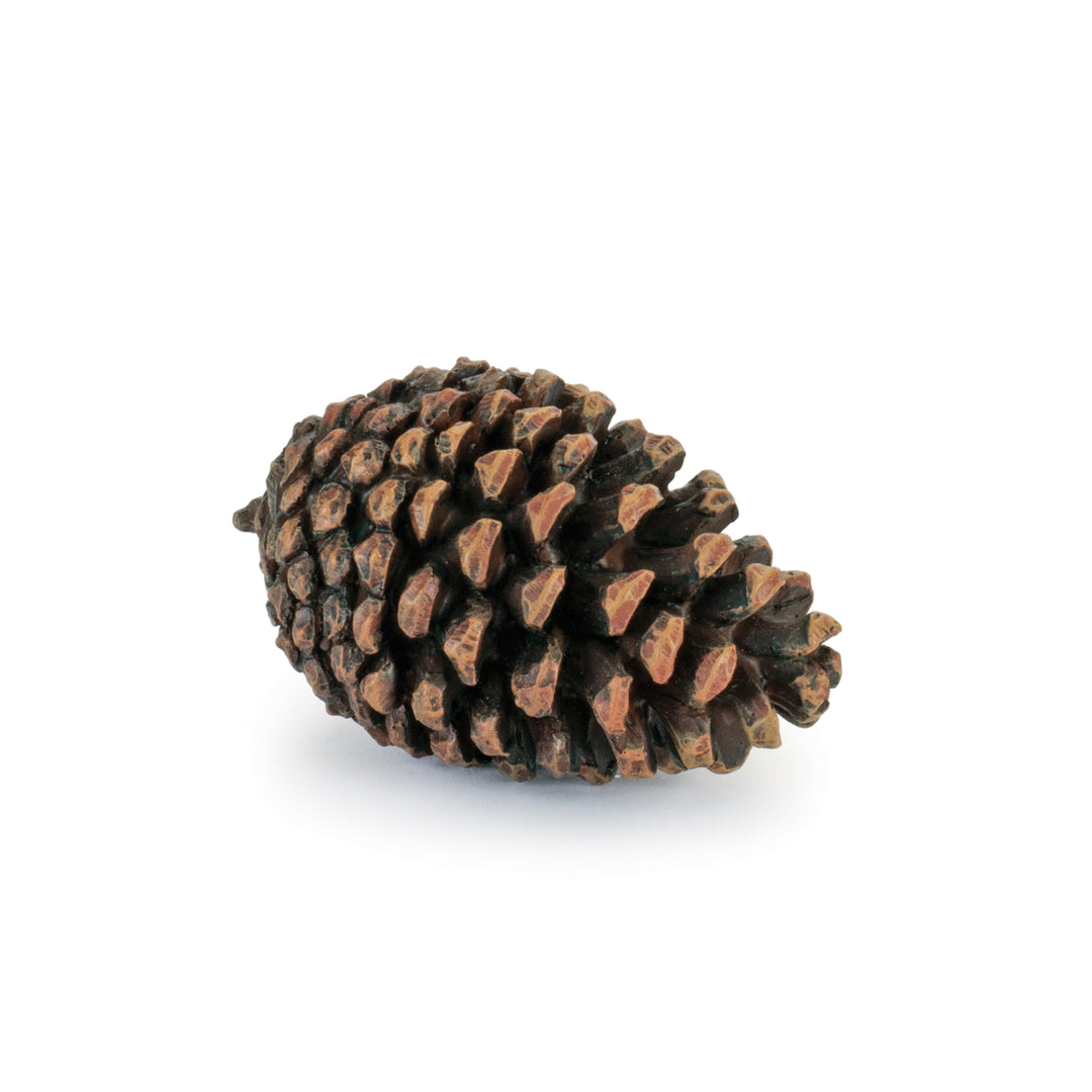 Woodland Charm Decorative Pine Cones