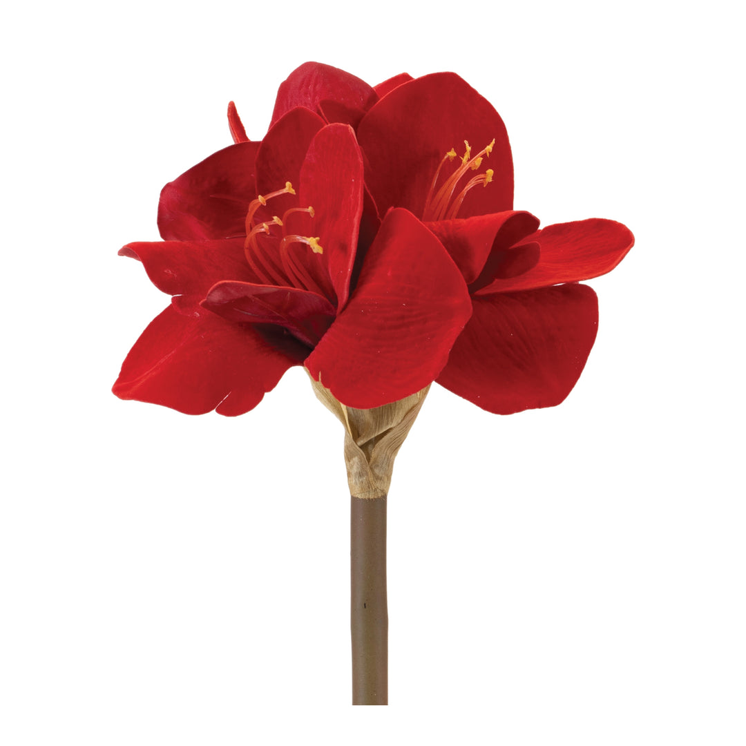 Christmas Elegance Red Amaryllis Stem — 23.5"