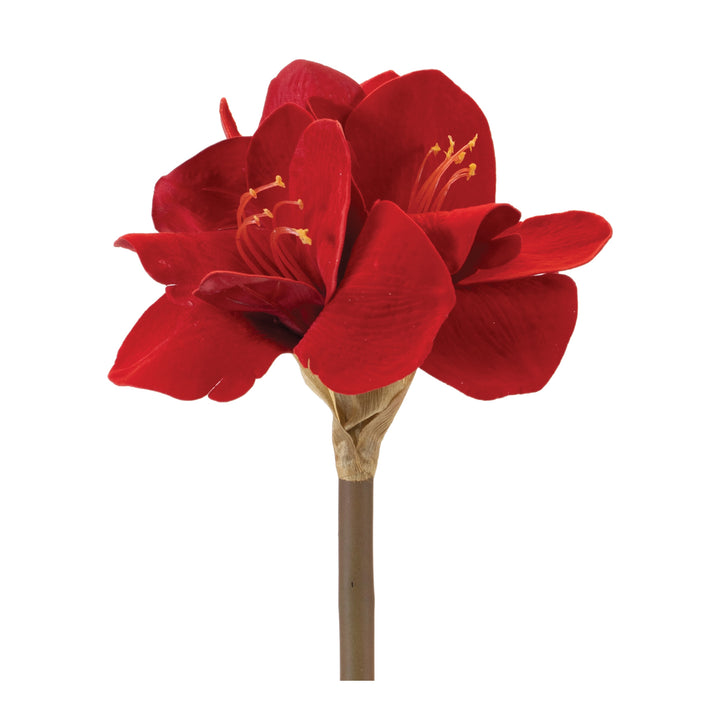Christmas Elegance Red Amaryllis Stem — 23.5"