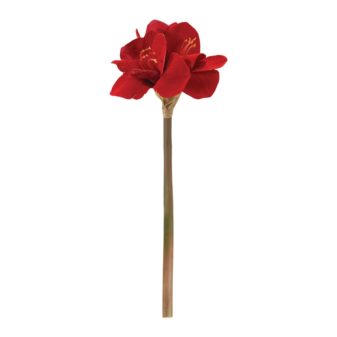 Christmas Elegance Red Amaryllis Stem — 23.5"