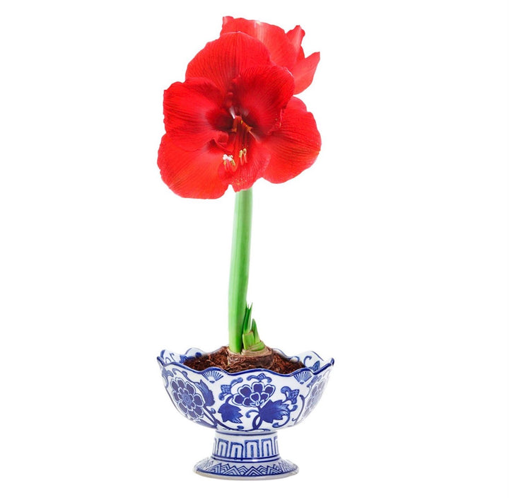 Blue & White Pedestal Bowl