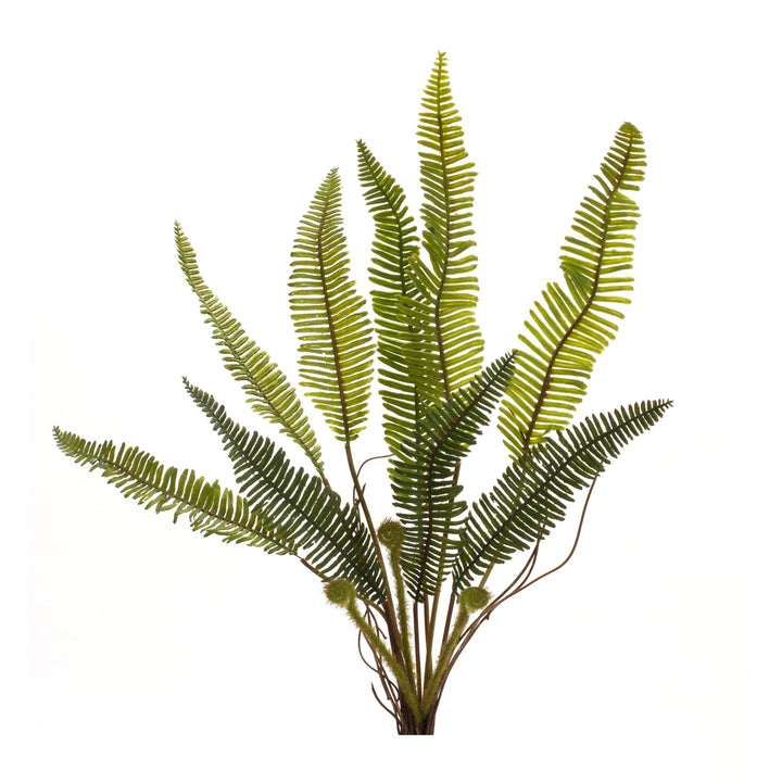 Woodland Fern Pick
