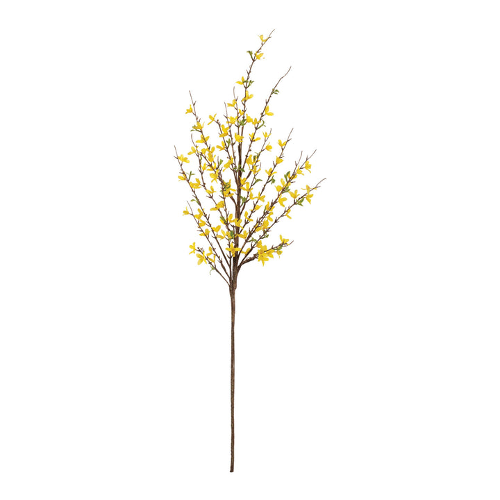 Golden Meadow Forsythia Branch