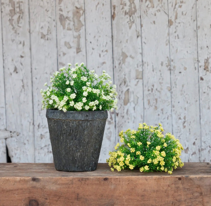 Petite Meadow Half-Round Bush