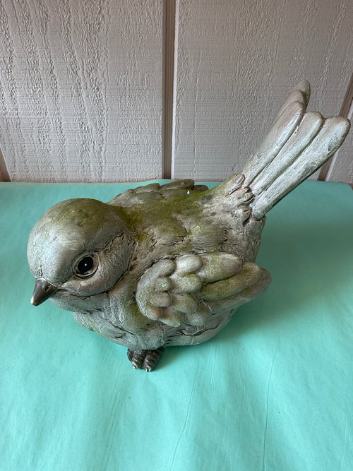 Garden Bird