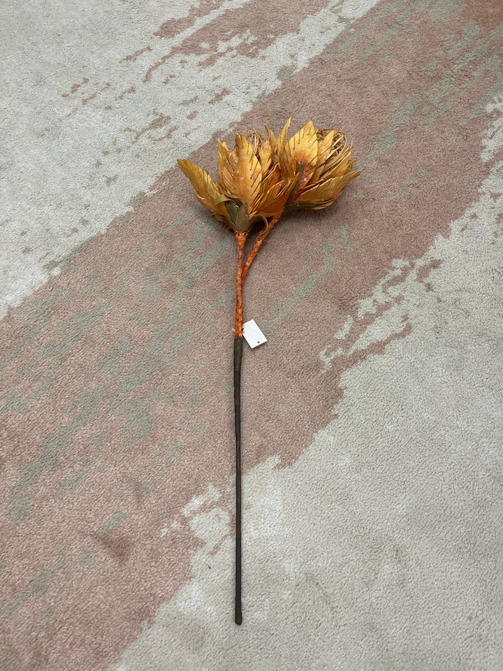 Amber Protea Bloom Stem