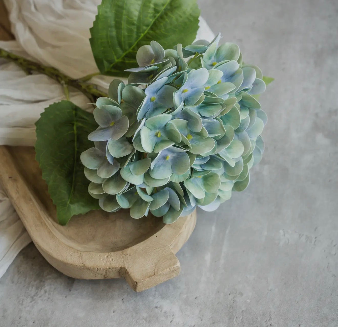 Coastal Sky Hydrangea Stem – 20”