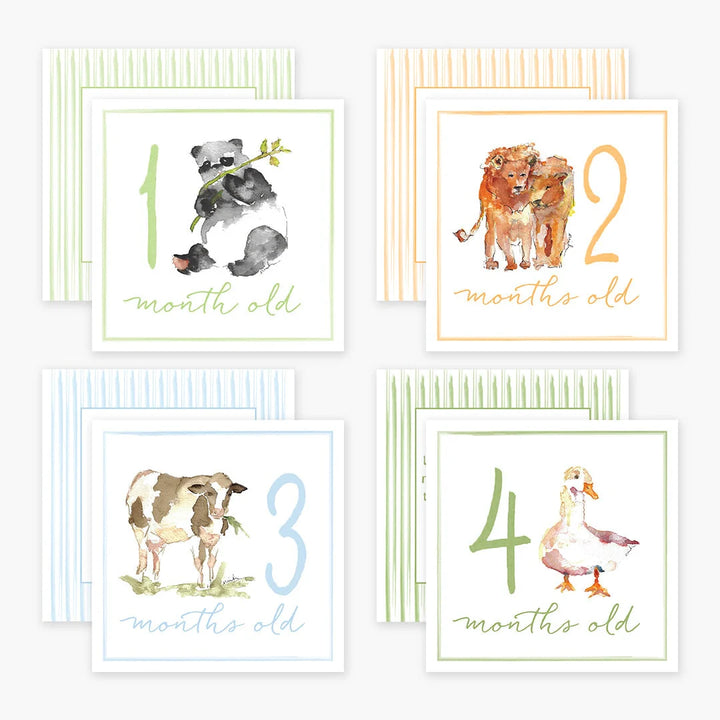 Little Moments Baby Milestone Cards
