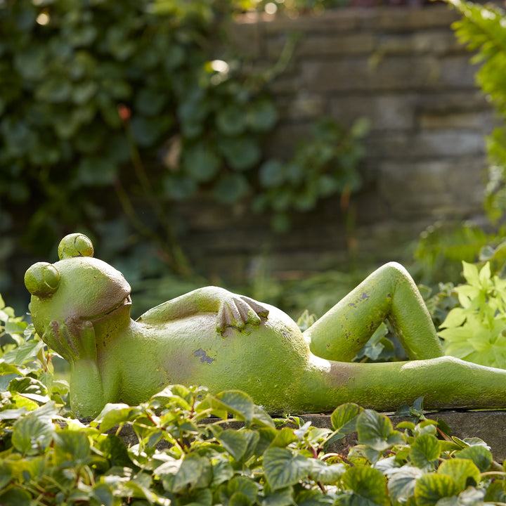 Lazy Day Garden Frog