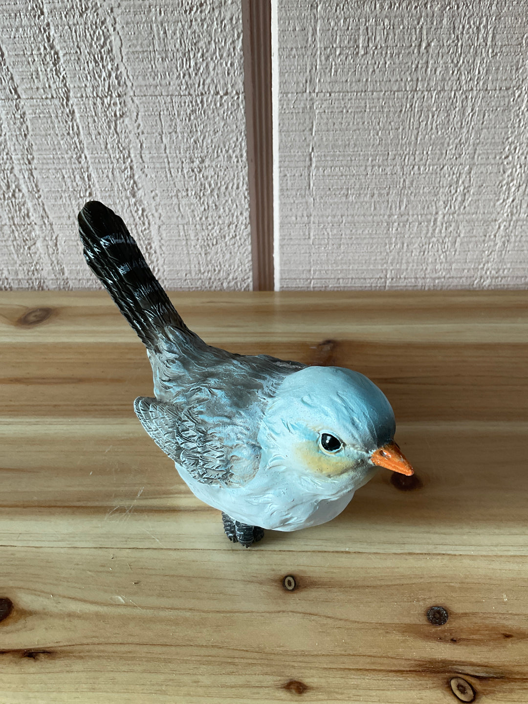 Colorful Yard Birds