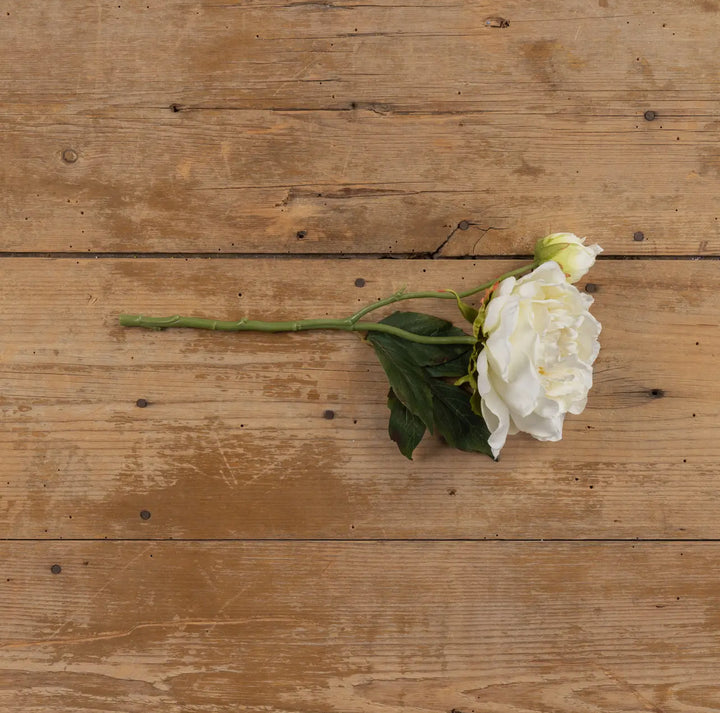 15” Cream Peony Stem