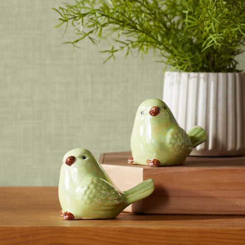 Birds