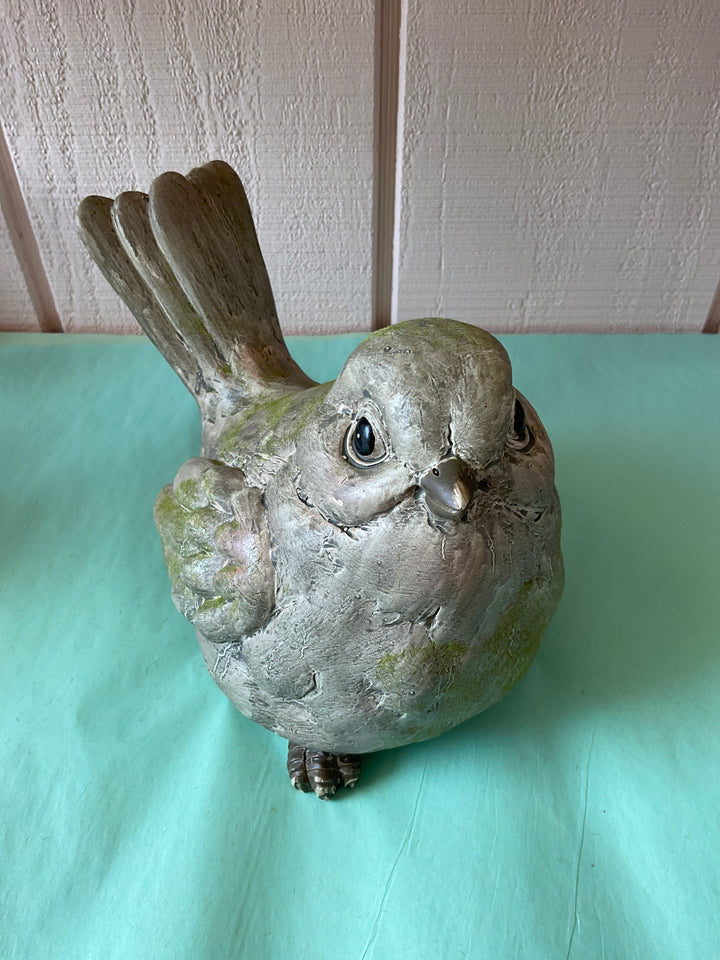 Garden Bird