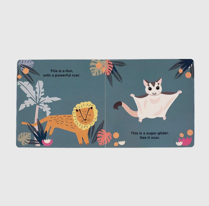 Zoo Friends Book
