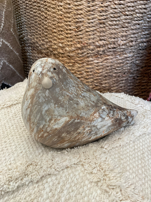 Bird