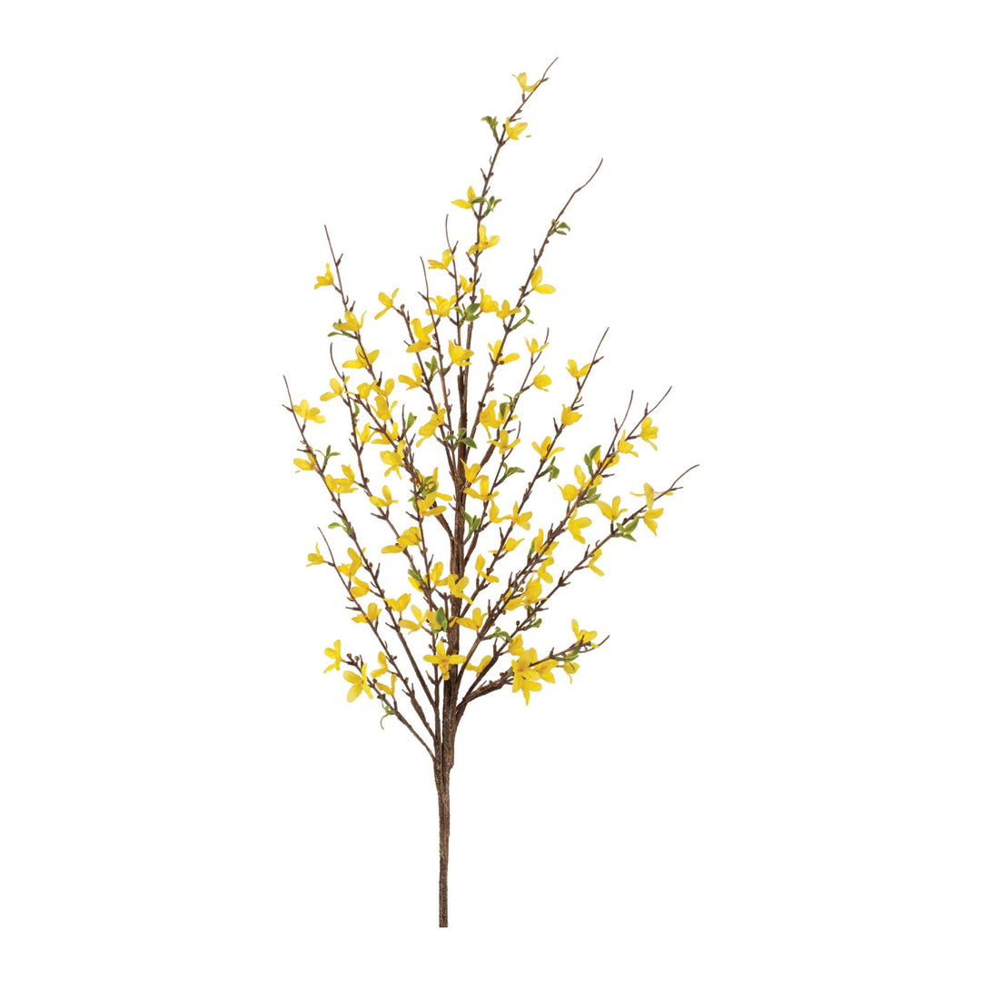 Golden Meadow Forsythia Branch