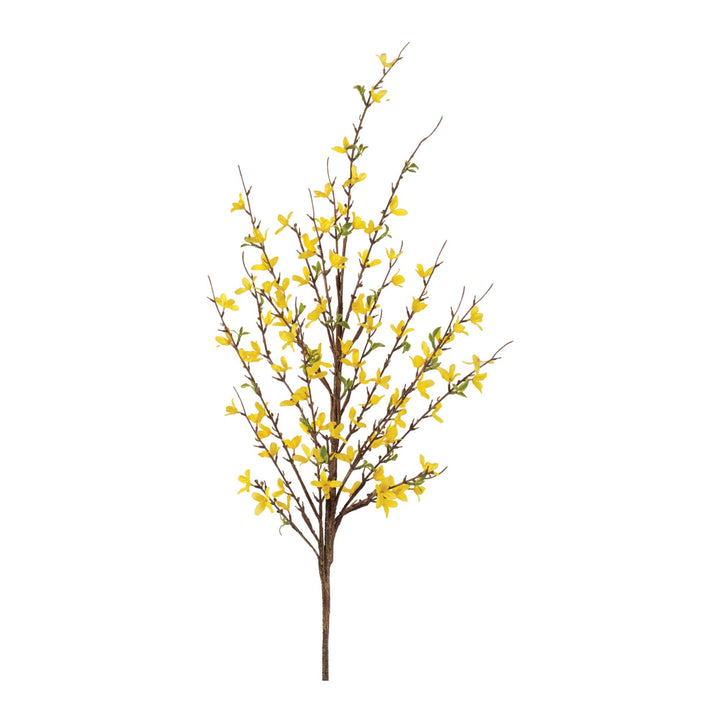 Golden Meadow Forsythia Branch
