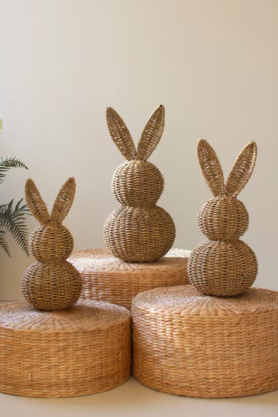 The Willow Bunny