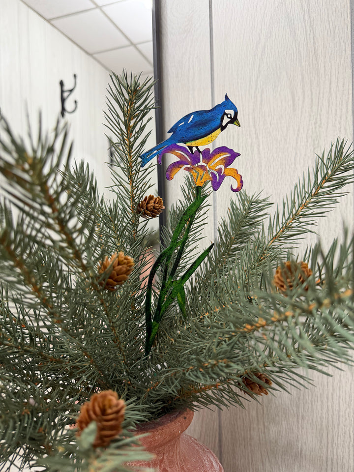 Meadow Friends Garden Plant Picks