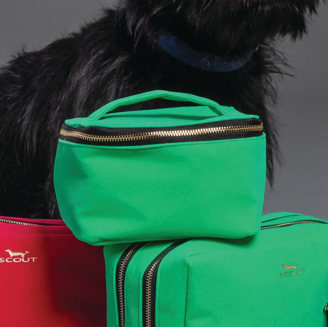 Scout: Hidden Gem Jewelry Case