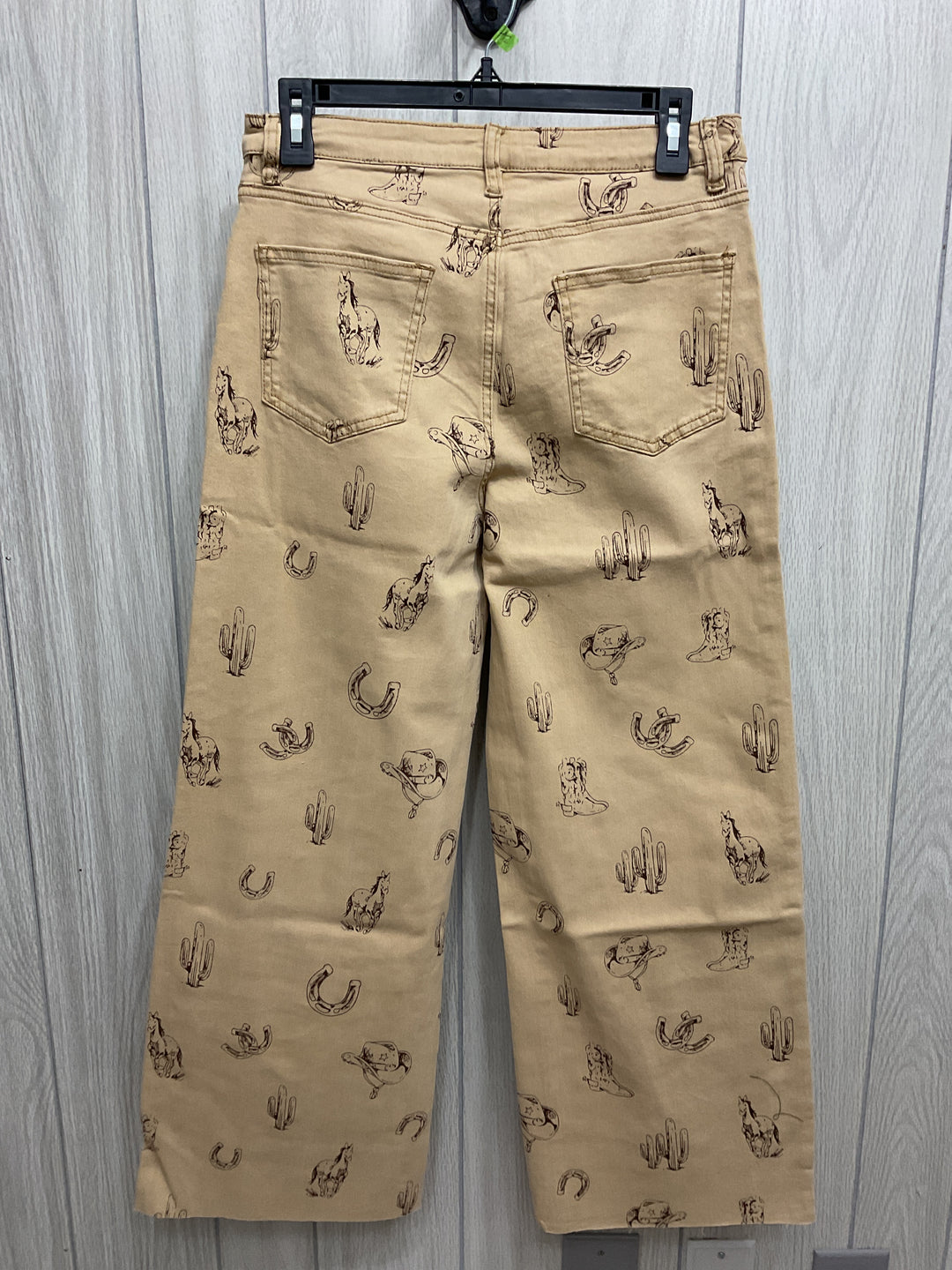 Western Charm Wide-Leg Pants