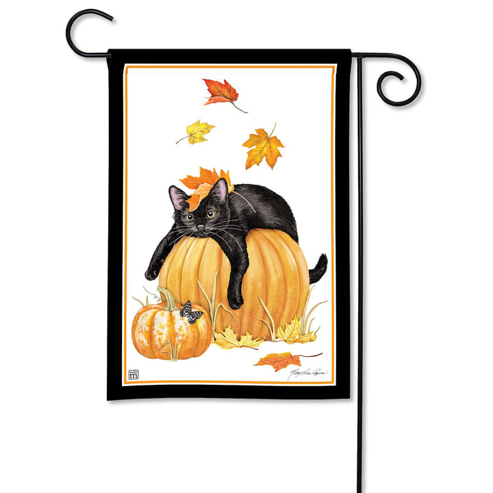Pumpkin Patch Kitty Garden Flag