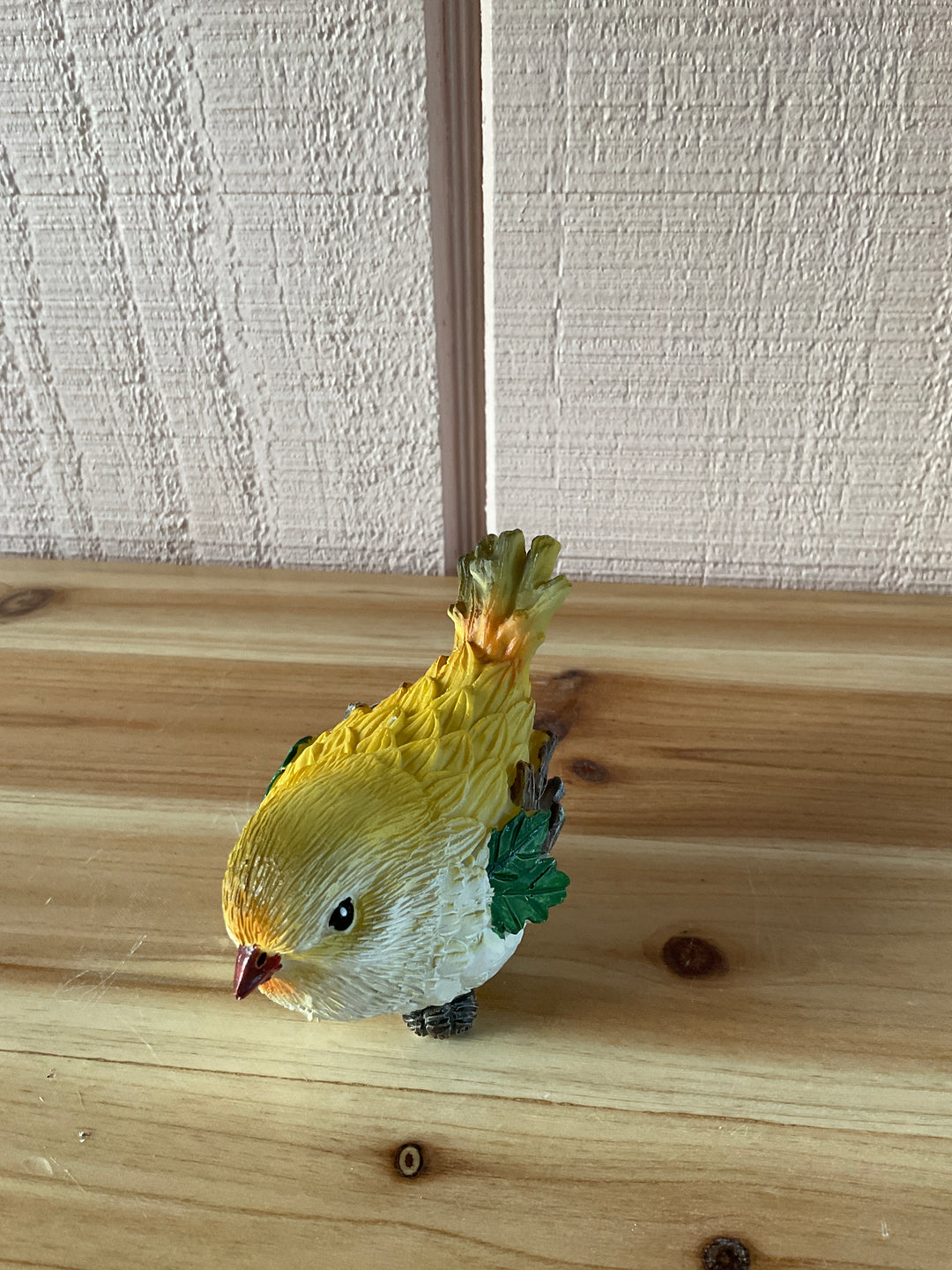 Colorful Feathered Birds