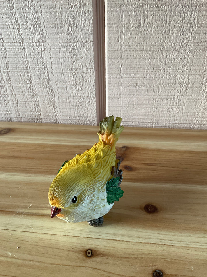 Colorful Feathered Birds