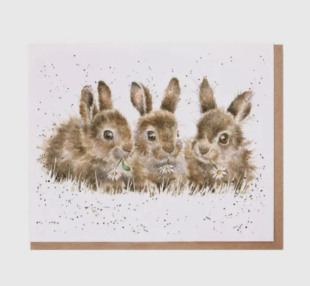 Greeting Cards - 5x7