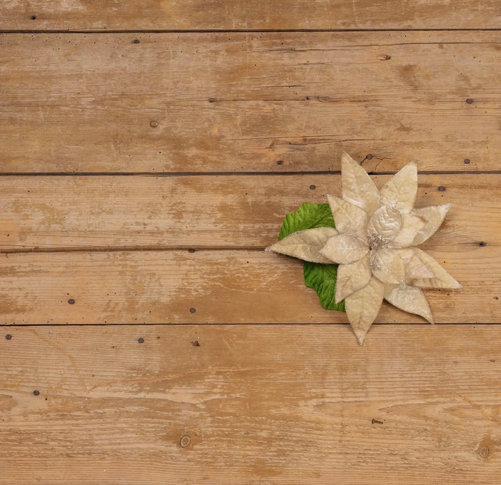 Velvet Champagne Poinsettia Stem – 24”