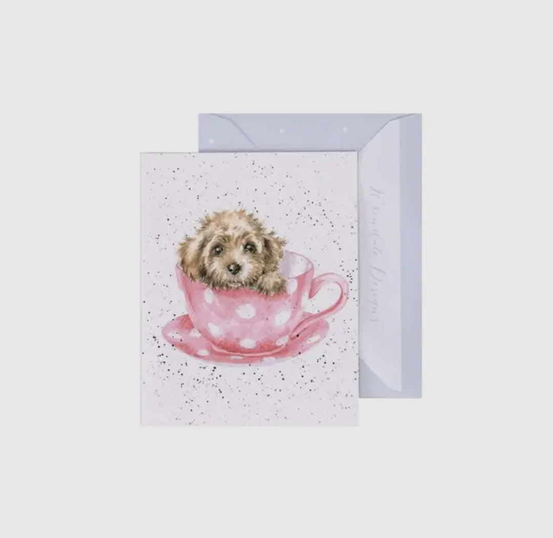 Mini Gift Enclosure Cards