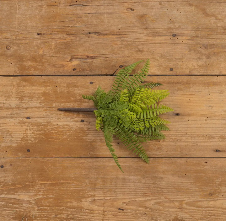 12” Sword Fern