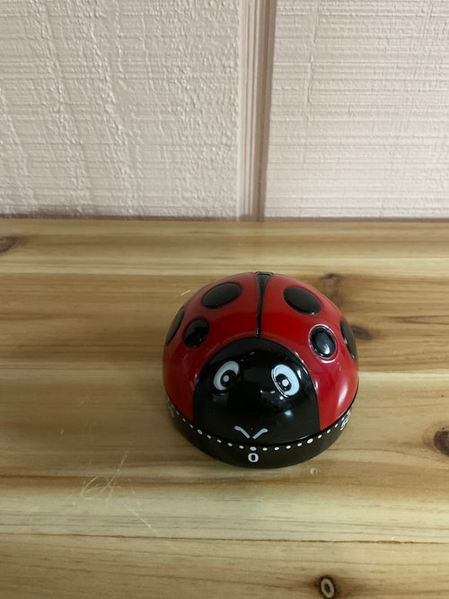 Ladybug Kitchen Timer