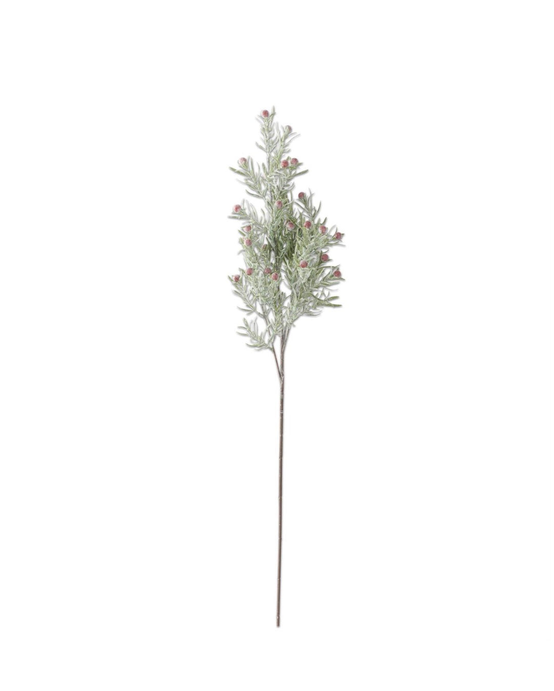 Frosted Rosemary & Red Berry Stem – 32.5"