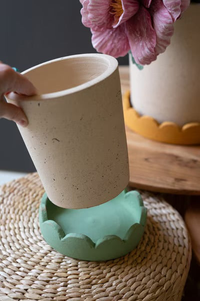 Terracotta Planter with Scalloped Base